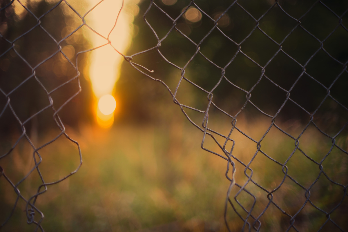 Hole in a Mesh Fence Leading to an Open Field